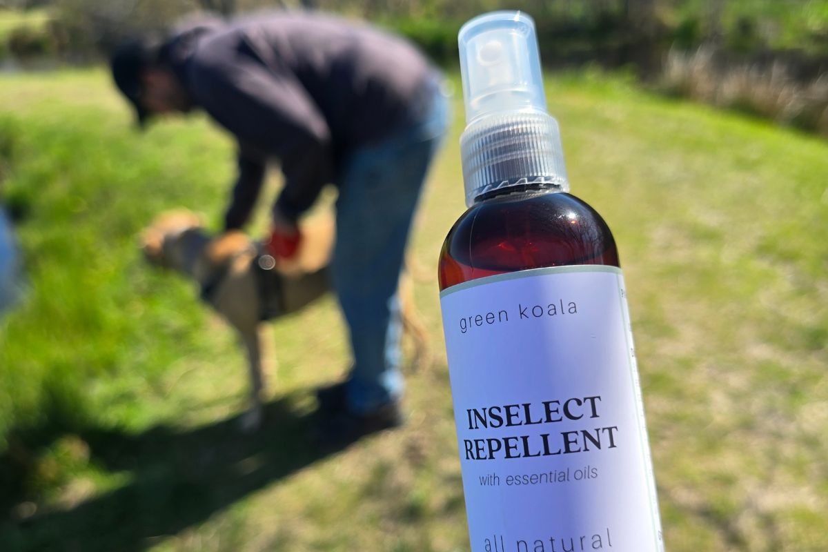 Bug Off, Naturally: Why Green Koala’s Insect Repellent Is a Summer Must-Have