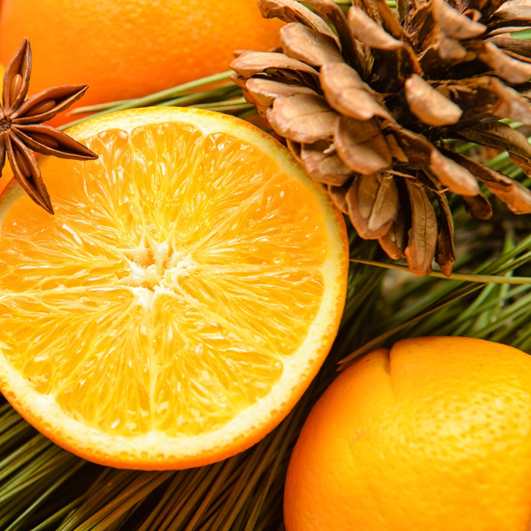 Closeup of orange slices, pinecones, pine, and holiday spices.