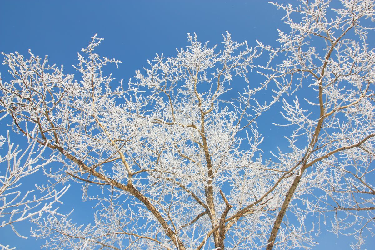A blog on how to beat the winter blues naturally.