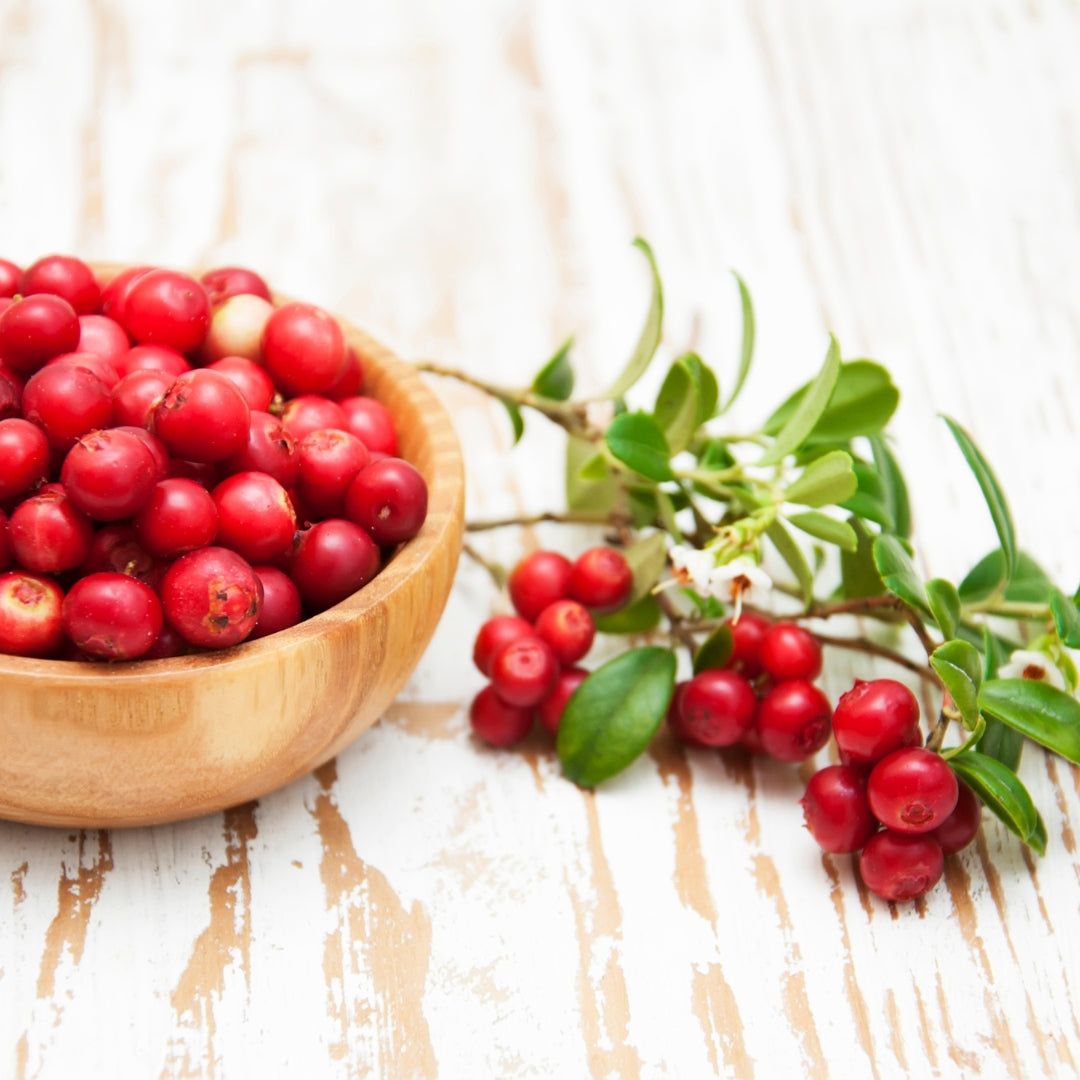 bowl of cranberries, minimalist