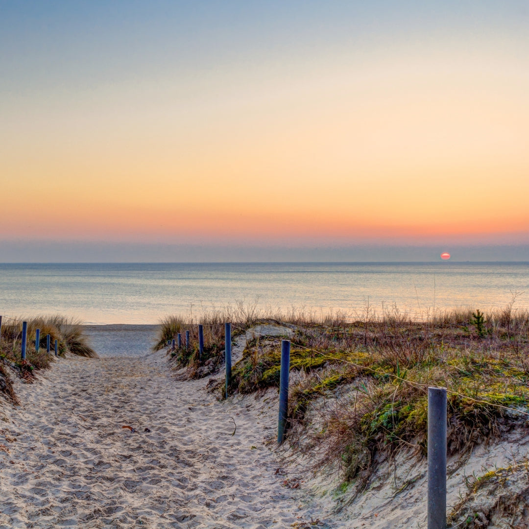 Photo of a sunset at the beach with blue water and a pathway through sand dunes. 
