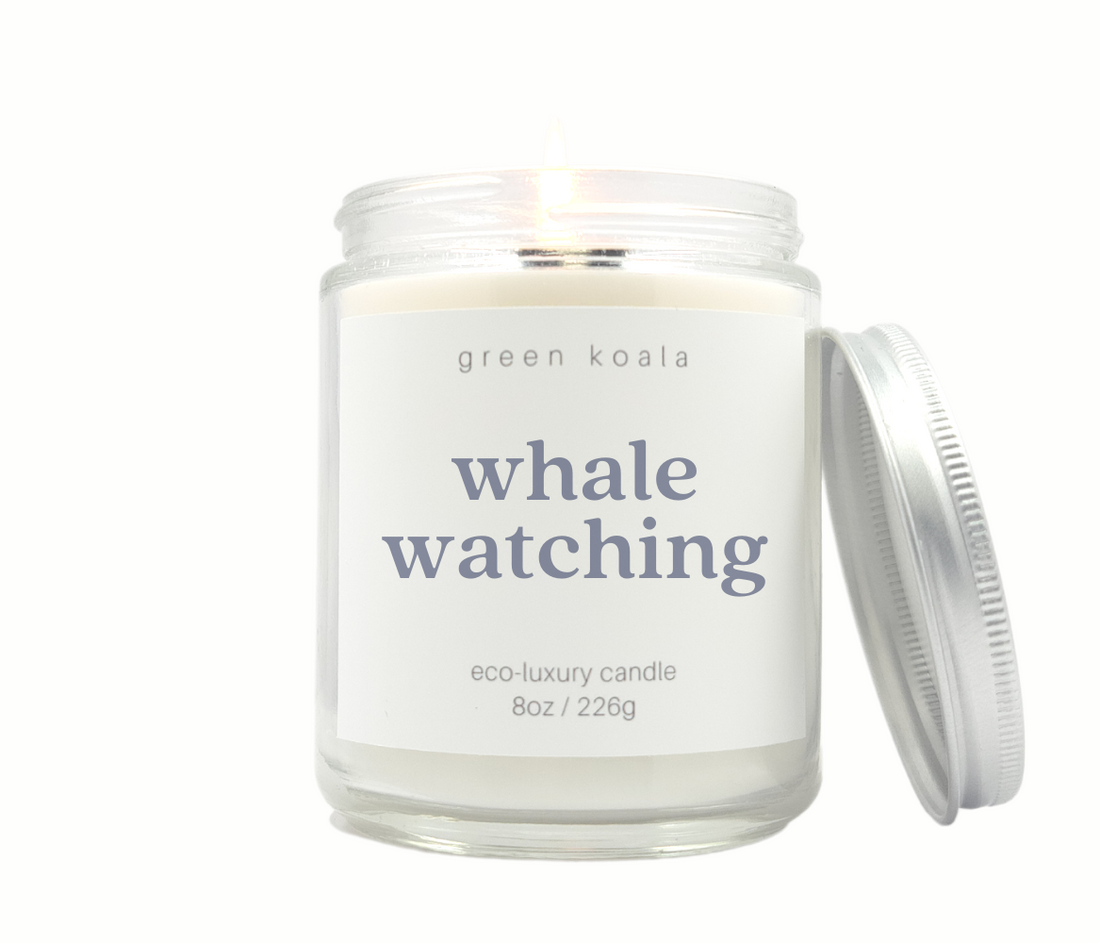 Green Koala Organic Whale Watching 8oz Candle